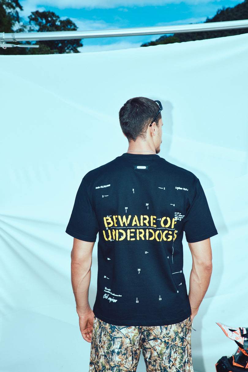 Beware of underdogs