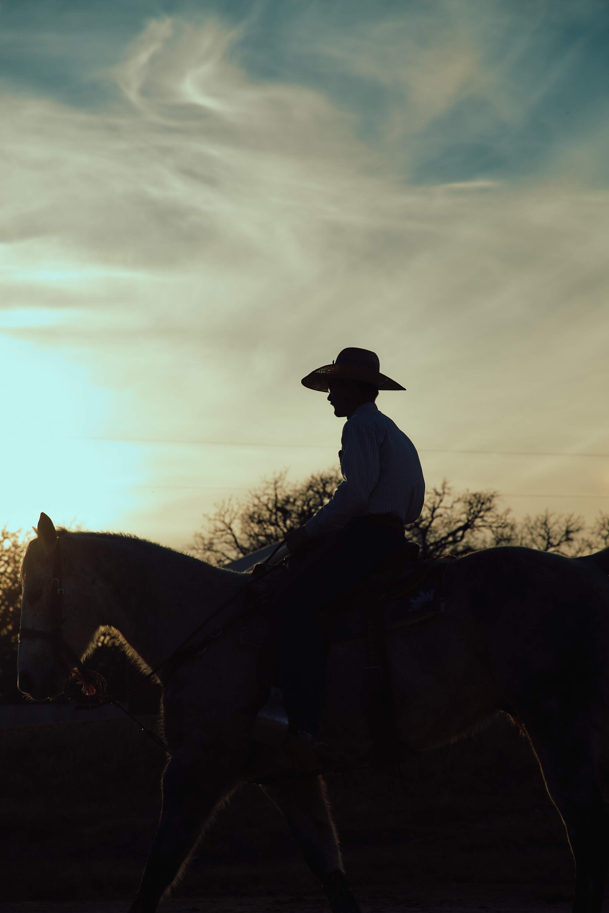 STEPHENVILLE CROWN — ONE OF ONE