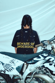 Beware of underdogs