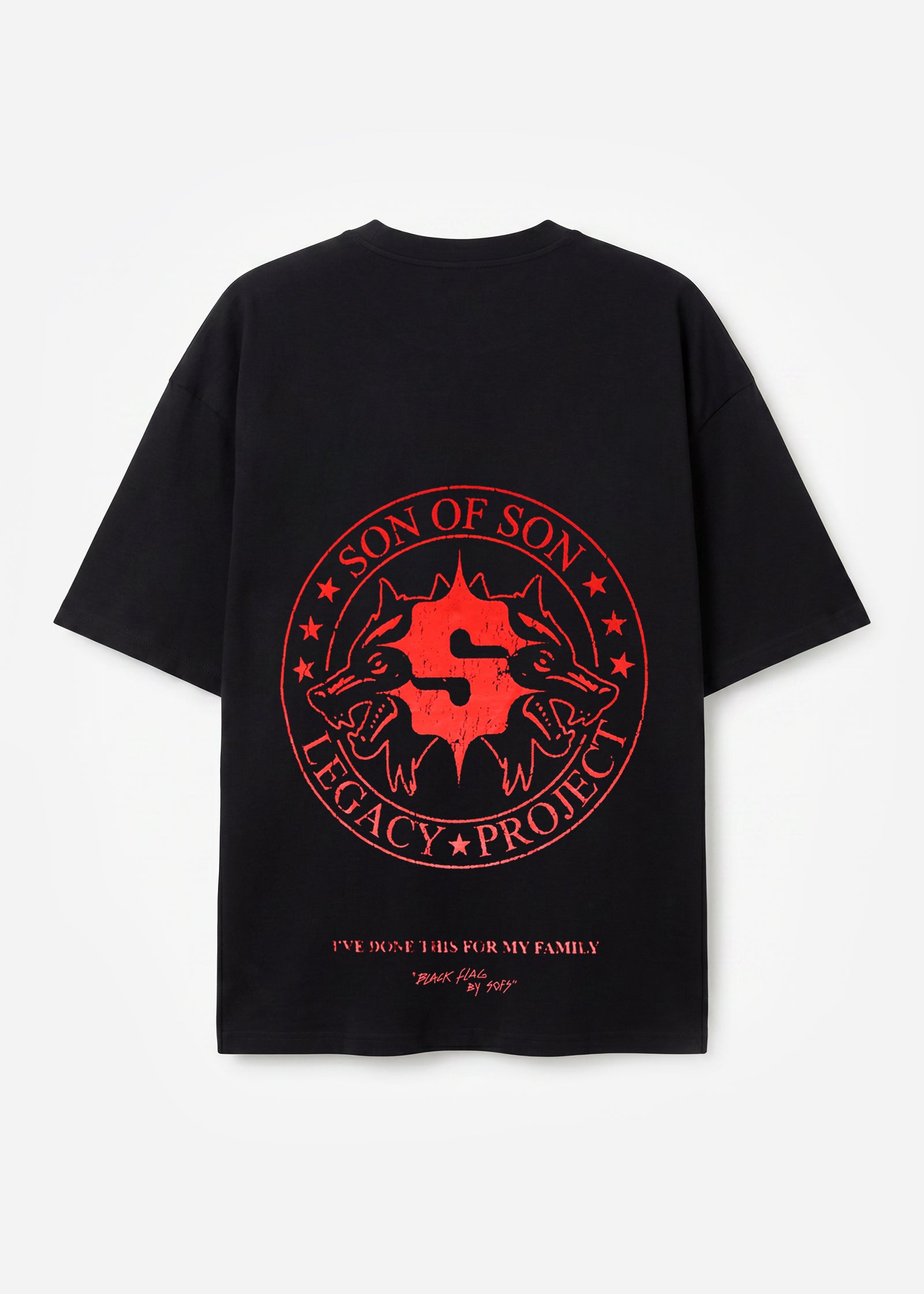 SOFS-Legacy-Project-Back.jpg