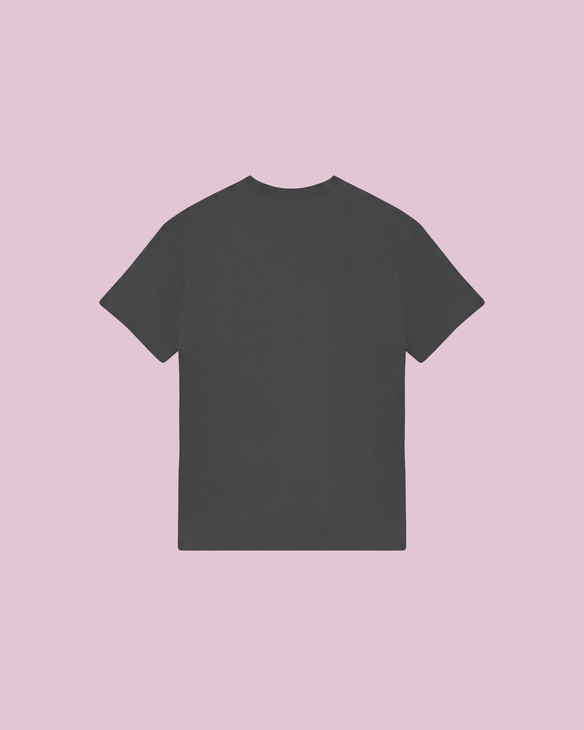 SOFS Basic Regular T-Shirt — Dark Grey