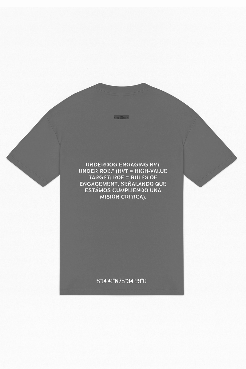 Raised by the hills Oversized T-Shirt — Grey — vista 6